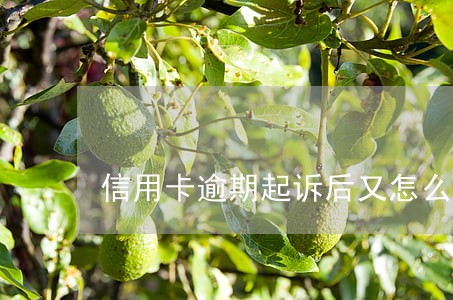 信用卡逾期起诉后又怎么办 信用卡逾期起诉后又怎么办