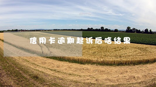 信用卡逾期起诉后啥结果 信用卡逾期起诉后啥结果