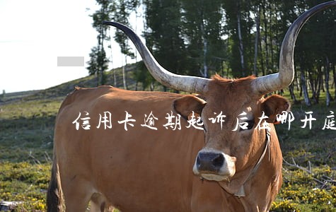 信用卡逾期起诉后在哪开庭 信用卡逾期起诉后在哪开庭