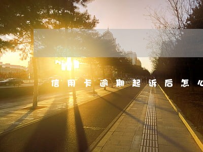 信用卡逾期起诉后怎么处理 信用卡逾期起诉后怎么处理