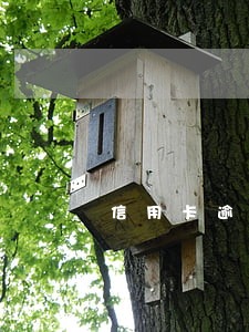 信用卡逾期起诉后执行 信用卡逾期起诉后执行