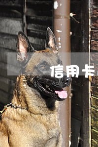 信用卡逾期起诉后没钱怎么办 信用卡逾期起诉后没钱怎么办