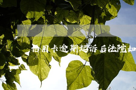 信用卡逾期起诉后法院如何调解 信用卡逾期起诉后法院如何调解