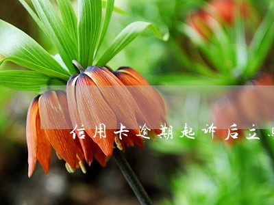 信用卡逾期起诉后立马抓人吗 信用卡逾期起诉后立马抓人吗