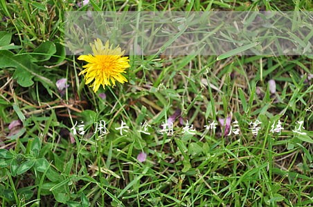 信用卡逾期起诉后等待还款