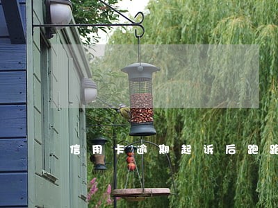 信用卡逾期起诉后跑路 信用卡逾期起诉后跑路