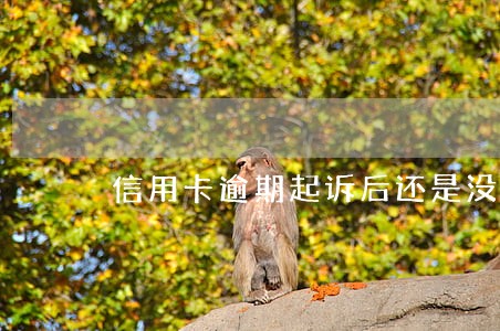 信用卡逾期起诉后还是没钱还 信用卡逾期起诉后还是没钱还