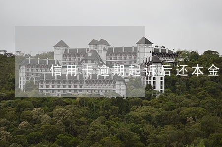 信用卡逾期起诉后还本金 信用卡逾期起诉后还本金