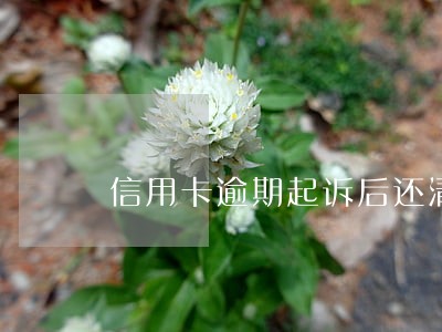 信用卡逾期起诉后还清本金