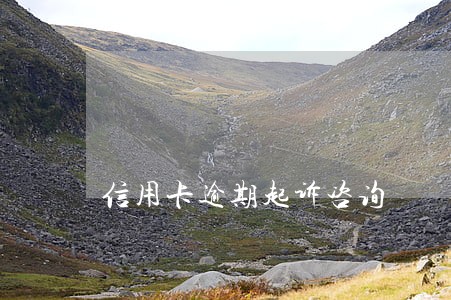 信用卡逾期起诉咨询 信用卡逾期起诉咨询