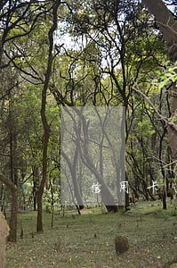 信用卡逾期起诉哪里的法院