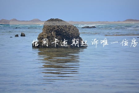 信用卡逾期起诉唯一住房 信用卡逾期起诉唯一住房