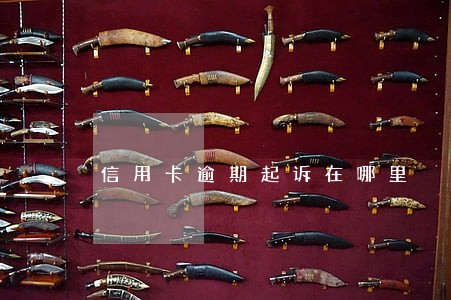 信用卡逾期起诉在哪里