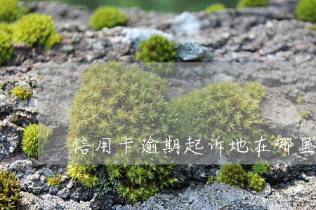 信用卡逾期起诉地在哪里 信用卡逾期起诉地在哪里