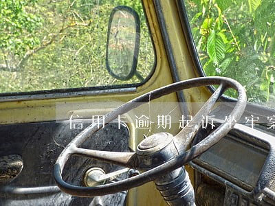 信用卡逾期起诉坐牢案例