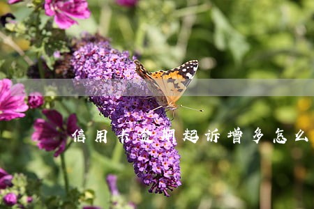 信用卡逾期起诉增多怎么办 信用卡逾期起诉增多怎么办