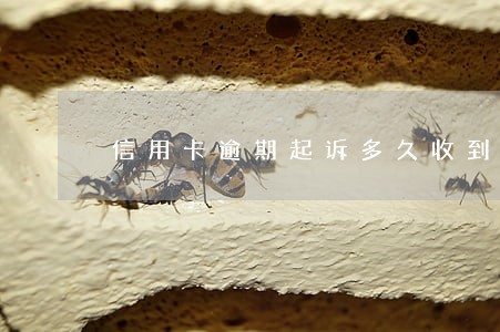 信用卡逾期起诉多久收到传票 信用卡逾期起诉多久收到传票