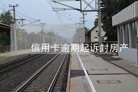 信用卡逾期起诉封房产