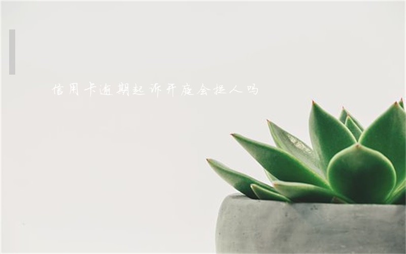 信用卡逾期起诉开庭会捉人吗