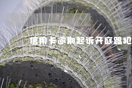 信用卡逾期起诉开庭跟犯罪一样么 信用卡逾期起诉开庭跟犯罪一样么