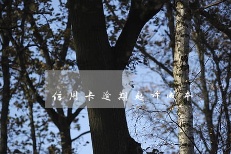 信用卡逾期起诉成本 信用卡逾期起诉成本