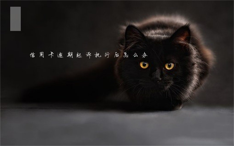 信用卡逾期起诉执行后怎么办 信用卡逾期起诉执行后怎么办