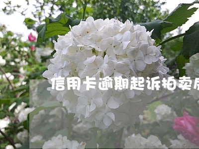 信用卡逾期起诉拍卖房子的有吗 信用卡逾期起诉拍卖房子的有吗