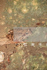 信用卡逾期起诉文件 信用卡逾期起诉文件