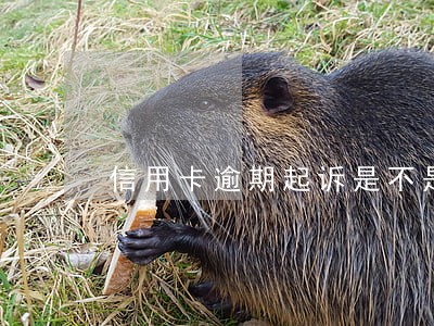 信用卡逾期起诉是不是还可以协商