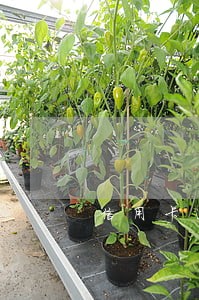 信用卡逾期起诉是怎样的 信用卡逾期起诉是怎样的