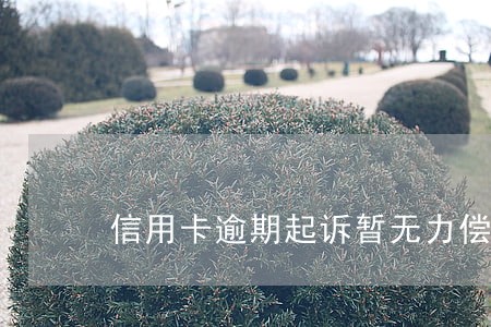 信用卡逾期起诉暂无力偿还 信用卡逾期起诉暂无力偿还