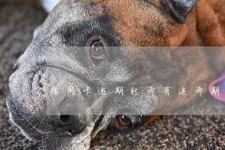 信用卡逾期起诉有追诉期 信用卡逾期起诉有追诉期