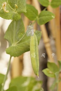 信用卡逾期起诉期间还清 信用卡逾期起诉期间还清