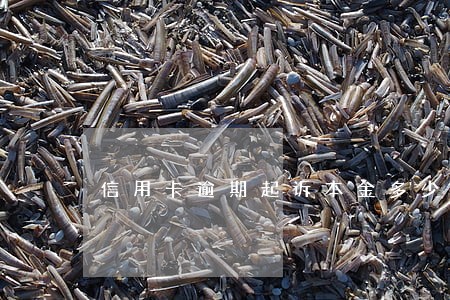 信用卡逾期起诉本金多少钱 信用卡逾期起诉本金多少钱
