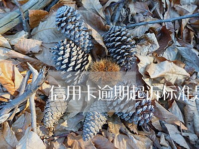 信用卡逾期起诉标准是什么 信用卡逾期起诉标准是什么