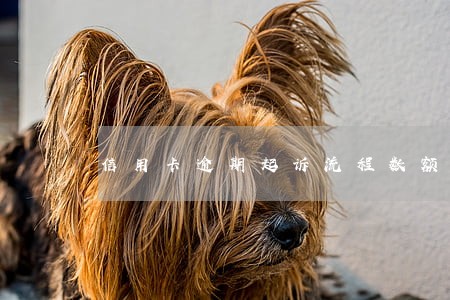 信用卡逾期起诉流程数额 信用卡逾期起诉流程数额