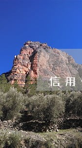 信用卡逾期起诉的多吗 信用卡逾期起诉的多吗