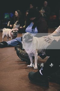 信用卡逾期起诉移交到 信用卡逾期起诉移交到