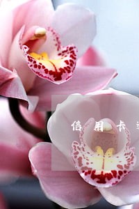 信用卡逾期起诉移民 信用卡逾期起诉移民