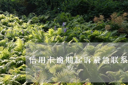 信用卡逾期起诉紧急联系人 信用卡逾期起诉紧急联系人