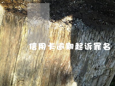信用卡逾期起诉罪名 信用卡逾期起诉罪名