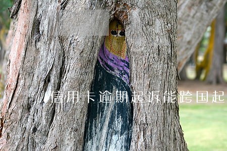 信用卡逾期起诉能跨国起诉吗 信用卡逾期起诉能跨国起诉吗