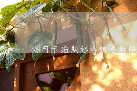 信用卡逾期起诉被告知缺席