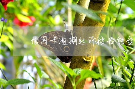 信用卡逾期起诉被告能坐牢吗 信用卡逾期起诉被告能坐牢吗