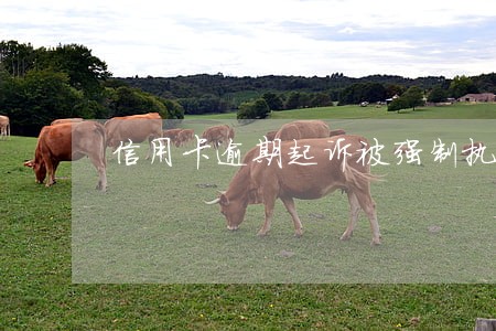 信用卡逾期起诉被强制执行标准 信用卡逾期起诉被强制执行标准