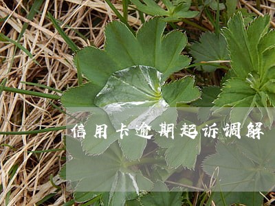 信用卡逾期起诉调解 信用卡逾期起诉调解