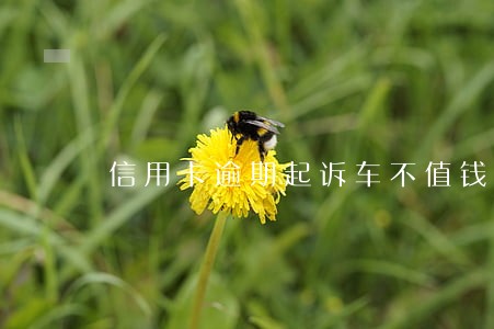 信用卡逾期起诉车不值钱会扣吗 信用卡逾期起诉车不值钱会扣吗
