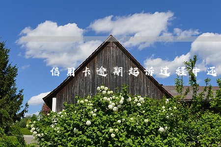 信用卡逾期起诉过程中还款 信用卡逾期起诉过程中还款