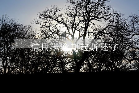信用卡逾期起诉还了