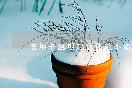 信用卡逾期起诉还能不能上网 信用卡逾期起诉还能不能上网